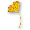 Handmade Spilla Foglia di Ginkgo all'Uncinetto Gialla - Gioiello Artigianale d'Autunno, Bottoniera Matrimonio, Made in Italy