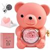 BlyeMichdi Orso Rosa Eterna con Collana a Forma di Cuore, Orsacchiotto Rosa Fatto a Mano, Rosa Eterna Confezione Regalo, Idee Regalo Donna, Mamma, per San Valentino, Festa della Mamma, Anniversario