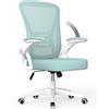 rattantree Sedia da Ufficio con Supporto Lombare, Sedia Ufficio Ergonomica con Braccioli Regolabili in Rete Traspirante, Altezza Regolabile e Schienale Inclinabile (senza poggiatesta, Green)