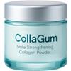 Generico Collagum Smile Powder rinforzante al collagene, collagene per denti - Idrossiapatite Dentifricio in polvere per la cura dei denti Protegge le gengive,1pcs