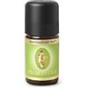 Primavera Estratto di vaniglia biologico, 5 ML