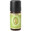 Primavera Orange bio * Edizione Limitata