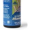 B.O.N BEST OF NATURE Best of Nature - Olio Vegetale Giapponese YinYang BIO - 30 ml