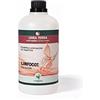 New Chemical LINFOCOT NEW CHEMICAL - Trattamento antimacchia per pavimento in cemento, cotto o pietre INTERNO (1 e 5 Litri) (1 Litro)