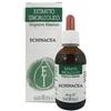 Naturetica Echinacea estratto idroalcolico - tintura madre 50ml