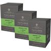 Taylors of Harrogate Tè verde con menta 3 x 20 bustine di tè confezionate singolarmente
