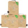 Torri Cantine Confezione Risparmio 4x Bag in Box 3L - Pecorino o Passerina - 12L di Vino Bianco (Pecorino)