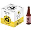 Italian Craft Brewery Birra Artigianale Cruda Italiana DELíRA APA 33cl - Box 12 Bottiglie
