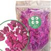 ZINGY ZOO Pitaya Dragon Fruit | XXL 500g Frutto del Drago da Mangiare Frutta Liofilizzata Freeze Dried Pitahaya | Esotica Frutti Rossi Disidratati Frutto del Dragone Senza Fruit