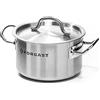Forgast Pentola Professionale Acciaio Inox 32L Litri con Coperchio, Casseruola Pentola Capiente Induzione Gas Fornello Elettrico, Fondo Spesso Multistrato, Pentole da Ristorante, Argento