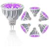 JSVSAL (6 pezzi) lampadine a LED dimmerabili viola MR16 GU5.3 con base bipin 5 W, equivalente a 50 W, AC/DC 12 V bassa tensione, faretti 40 gradi per paesaggio, cortile, giardino, albero