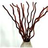 DongArts 14-15 rami di salice secchi e ricci, 53-58 cm, per piante essiccate naturali, rami decorativi per fai da te, vasi, decorazioni per la casa, marrone