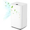 Sonnewelt Deumidificatore Elettrico 16 L/Giorno per Ambienti 30 m², Cantina, Bagno, Camera da Letto - Display Digitale
