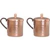 Leisurealeaneag Set di 2 tazze Moscow Mule, per tè, caffè, birra, con coperchio, in rame, 350 ml