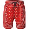 Daozundi, pantaloncini da bagno da uomo con fodera in rete, costume da bagno ad asciugatura rapida, shorts da spiaggia, XX-Large