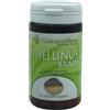 GOLDEN WAVE Srl PHELLINUS BRAIN 60 CAPSULE VEGETALI