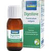 BOIRON Srl Digestione Foeniculum Vulgare EI Boiron 60ml