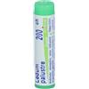 BOIRON Srl Boiron Ledum Palustre 200K Globuli Monodose Omeopatici