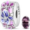 HappyStar charm argento 925 Clip Stopper Beads Charms Ciondolo perline Compatible donna bracciali (Con una perlina spaziale)