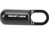 lyrlody Lucchetto con Impronta Digitale, Lucchetto di Sicurezza Senza Chiave con Indicatore LED, per Porte, Valigie, Biciclette Palestra (BLACK)