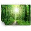 ARTTOR Carta da Parati Vinile in TNT 400x280 cm Botanica Foresta - 2689 - WF3 | Sole Raggi Premium Canvas Fotomurale Moderno Decorazione da Parete Murale da Parete Per Soggiorno Camera da Letto ARTTOR