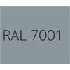 Generico Spray Vernice Acrilica RAL 7001 Grigio Argento per Metallo, Legno, Plastica, Vetro e Ceramica - Asciugatura Rapida