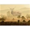 murando PREMIUM Carta da parati Cervo Astratto 300x210 cm Fotomurali in TNT Murale alla moda Decorazione da Muro XXL Poster Gigante Design Carta per pareti Natura Nebbia Botanica Foresta c-C-0474-a-a