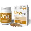 Innovet Urys 30 Caps Per il benessere delle basse vie urinarie del cane e del gatto, con palmitoil-glucosamina micronizzata (PGA-m)