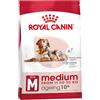 Royal Canin Dog Food Medium Aging +10 15kg