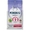 Generico FORZA 10 Cane Mini/Toy Adult - Sensitive Digestion Pesce | alimento secco dietetico completo per cani adulti, per la compensazione della cattiva digestione, Made in Italy, 1 confezione da 1,5kg.