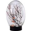 Obelunrp Acquario desktop, Mini Tank Fish, Aquarium Ecosistema acquatico chiuso 19CM con base girevole a LED, Acquario desktop ecosistema autosufficiente per decorazione degli uffici domestici