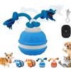 Pnedeodm Interactive Smart Rolling Pet Ball, Chase Buddy Dog Toy for Boredom Relief, Active Rolling Ball with Tail for Dogs, Cat Toys Interactive for Indoor Cats & Dogs (A - Blue)