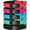 SF Custom Collari per cani riflettenti personalizzati, con targhetta identificativa in acciaio inox incisa personalizzata, collare imbottito per animali domestici