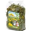 JR Farm Dente di leone 100 g