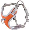 Hurtta PETTORINA VENTURE NO PULL ARANCIO BRUCIATO 60-80