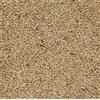 Il Contadino - Antichi Becchimi | Scagliola AD Uso ZOOTECNICO | Essenza di Semi Selezionati e Super Ventilati, No OGM, 100% Vegetale, Assenza di scarti. qualità Superiore (5 kg)