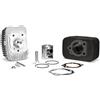 Generico KIT GRUPPO TERMICO CILINDRO MALOSSI Ø 43 IN GHISA 65CC CON SPINOTTO Ø 10 CIAO PX 50