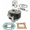 RMS 100080030 GRUPPO TERMICO RMS 50CC D.40 MINARELLI ORIZZONTALE AC ARIA SP.10 GHISA