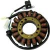Generico Statore Magnete per Yamaha Majesty 250 2000-2006, Aprilia Leonardo 250 2002-2004, MBK Skyliner 250 2000-2003