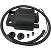 seba.ricambi Centralina Bobina Elettronica per Ciclomotore Accensione Elettronica Ciao Si Bravo - Ape Tm P50 - Vespa Pk 50 - Pk 50 Xl - Rush - N Incluso 50 cm Cavo Candela