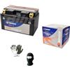 MOTO SPORT MONDO COMPATIBILE CON HONDA 600 CBR F Sport 2001 A 2002 BATTERIA TECNIUM YTZ10S-BS BATTERIE 8,6 AMPERE 12 VOLT PRONTA PER L'UTILIZZO SPECIFICA MOTO SCOOTER 150X87X93MM