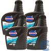 TAMOIL OLIO MOTORE SINT FUTURE GAS GPL/METANO 5W30 ACEA C3 4 LITRI