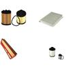 AOQ ORIGINAL QUALITY AOQ - KIT TAGLIANDO COMPATIBILE CON FIAT IDEA. PUNTO 188 1.3 D MULTIJET (DIESEL), 4 FILTRI MOTORI EURO 4, D4