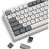 dagaladoo Retro keycaps Stile Giapponese Double Shot PBT Keycaps Set Dye Sublimazione Custom Key caps 139keys Grigio Profilo XDA Tappi chiave Tastiera per Gateron MX Switch Tastiera Meccanica