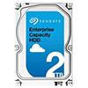 Seagate ST2000NM0023 HDD Interno da 3.5, Nero