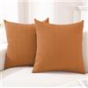 CYCMACO Federe Cuscini Divano 2 Pezzi 60x60, Copricuscini Divano Per Salotto Soggiorno, Federa Cuscino Con Cerniera Invisibile, Moderno Federa Cuscino, Per Domestica Camera Da Letto, Arancia