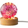QENETY Luce notturna a forma di fiore con sfera di cristallo, 6,1 cm, in resina epossidica, lampada da notte con base in legno, sfera di cristallo rimovibile, lampada da tavolo per camera da letto,