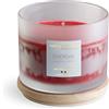 NATURE CANDLE by Bonturi Casa NATURE CANDLE candela profumata 100% cera vegetale - Linea Amati 380g Energia - Liquirizia e Lamponi