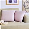 Blumtal Set di 2 Federe Cuscini Divano 50x50 cm in Velluto, con Chiusura Lampo Invisibile, Eleganti Copricuscini Divano in Morbido Velluto,Taglia 50 x 50, Rosa Antico