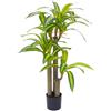 IlGruppone Pianta Finta Da Interno Artificiale Grandi Varie Altezze 100/150/180 Cm Artificiali Vari Modelli Modellabili Decorazioni Casa Ufficio - Dracaena - Altezza 150cm